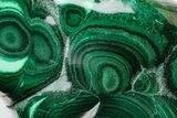 Vibrant, Polished Malachite Specimen - Congo #233345-1